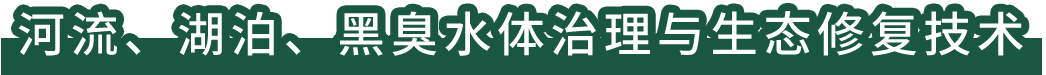 河流、湖泊、黑臭水體治理與生態(tài)修復(fù)技術(shù)