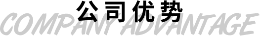 公司優(yōu)勢(shì)