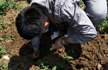 土壤檢測(cè)
