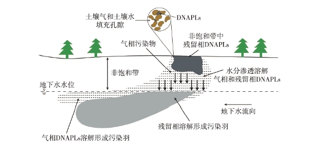 DNAPLs泄漏至地表后，受到重力作用向下遷移